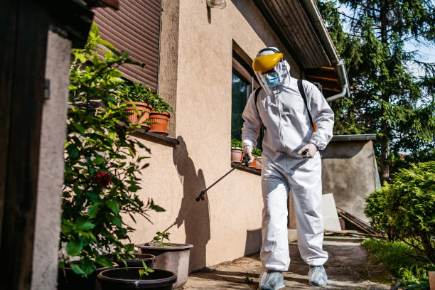 Best Wasp Removal Services  in Carlstadt, NJ