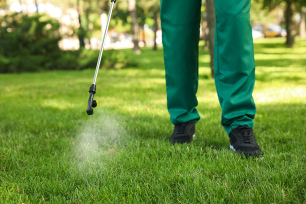 Best Exterminator Services  in Carlstadt, NJ
