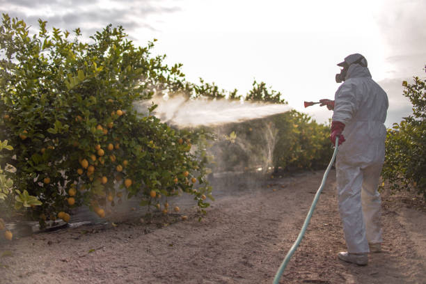Best Pest Inspection Near Me  in Carlstadt, NJ