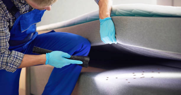 Trusted Carlstadt, NJ Pest Control Experts