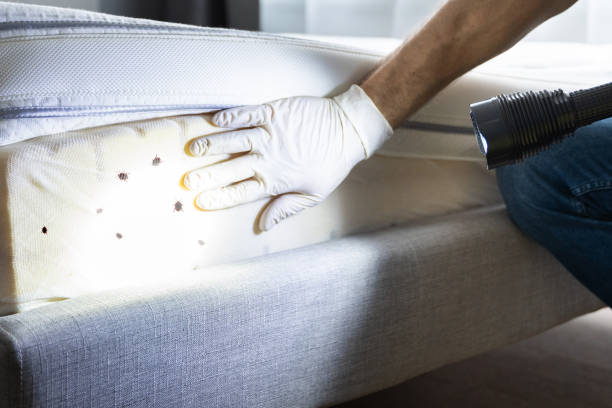 Best Affordable Pest Control Services  in Carlstadt, NJ