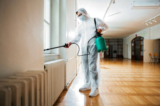 Best Flea Control Services  in Carlstadt, NJ